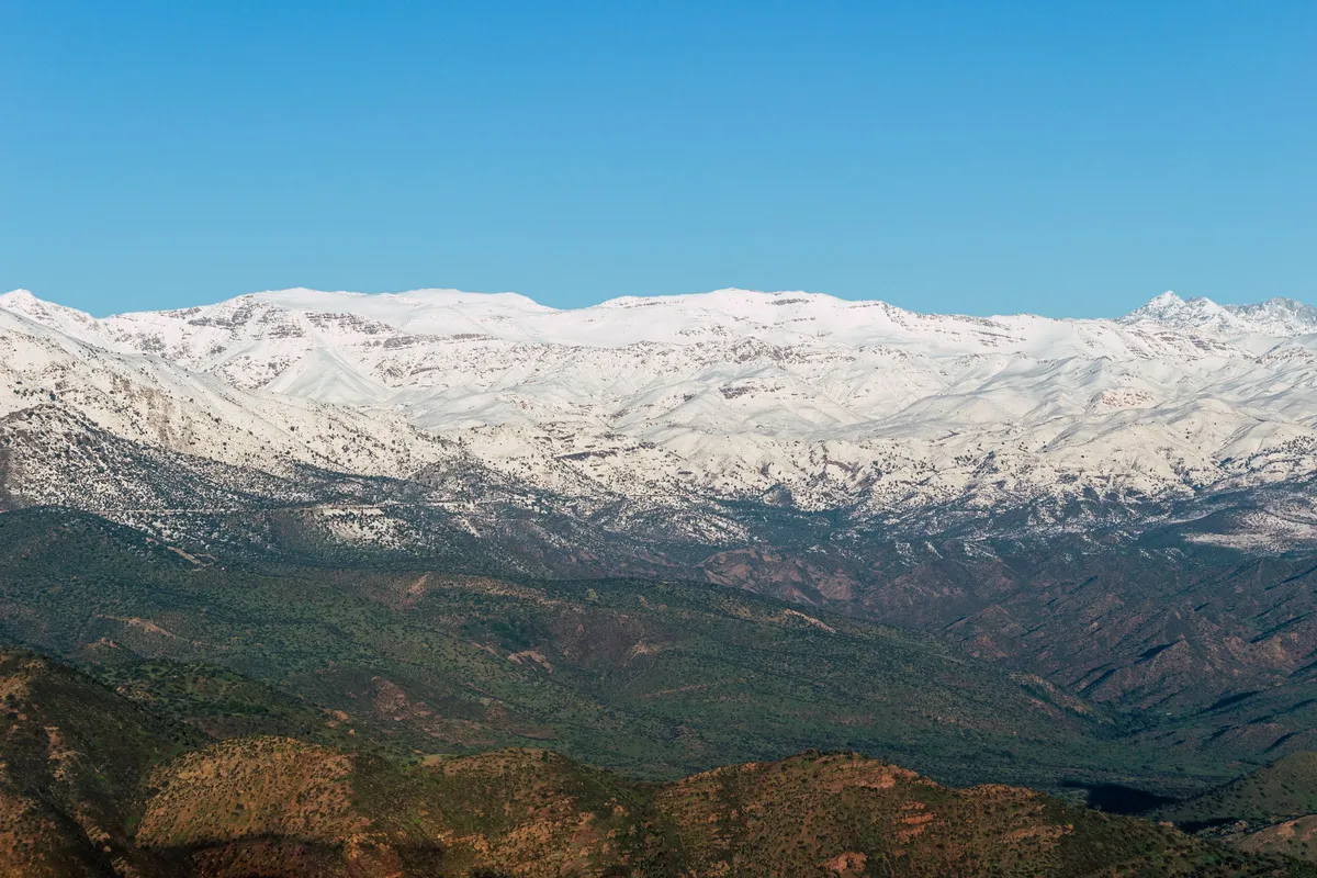 A long line of summits covered in snow above green and ochre foothills, under a clear blue sky