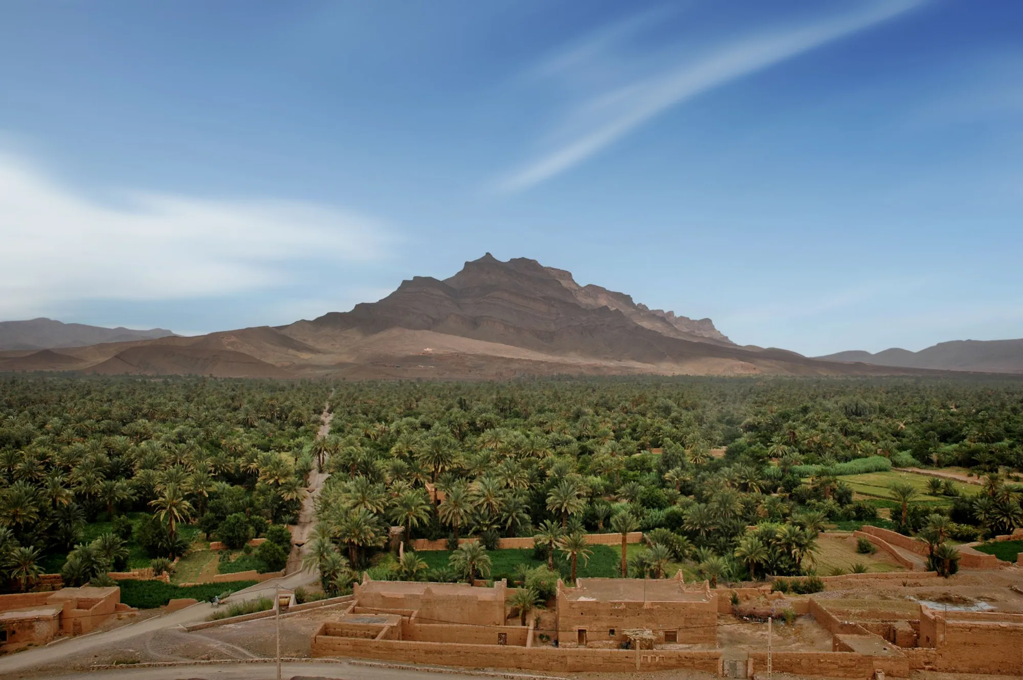 Une vaste palmeraie de la vallée du Drâa au pied d'une montagne rocheuse, avec des maisons en terre au premier plan