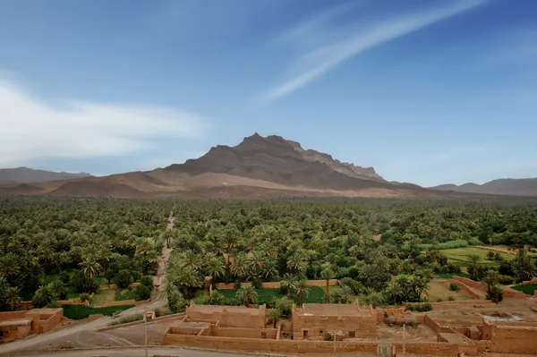 A vast palm grove in the Draa valley below a rocky mountain, with earth houses in the foreground