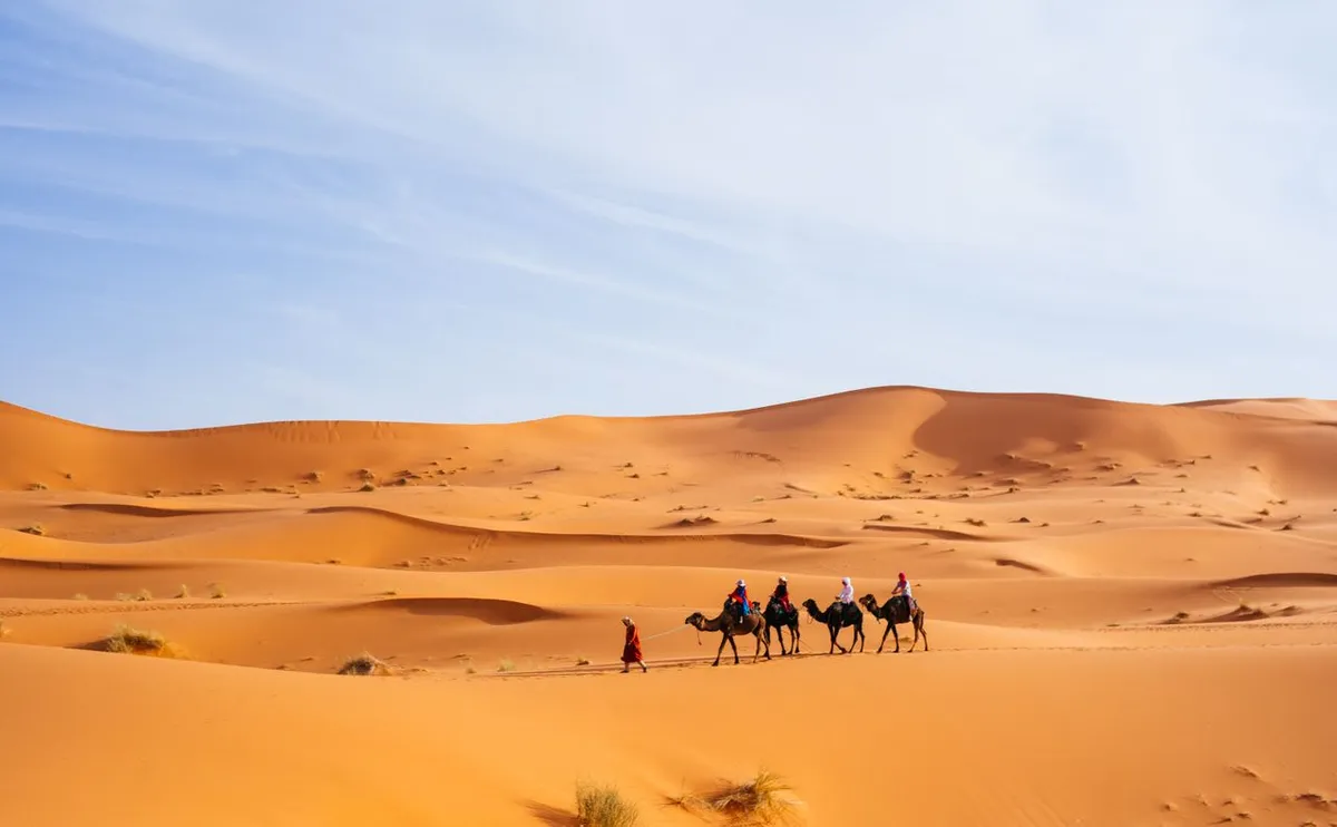 A camel caravan and its riders crossing the orange dunes of the Sahara