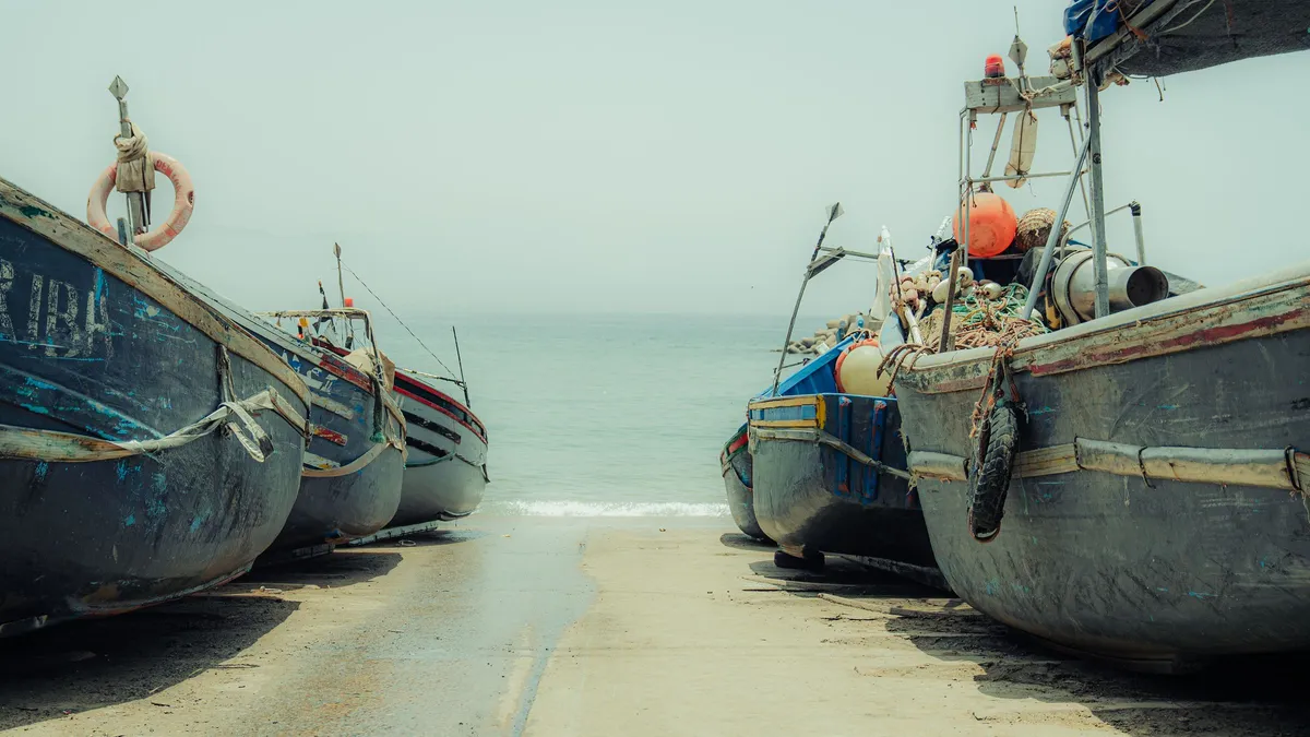 Des barques de pêche bleues tirées sur le sable à Imsouane, face à une mer calme