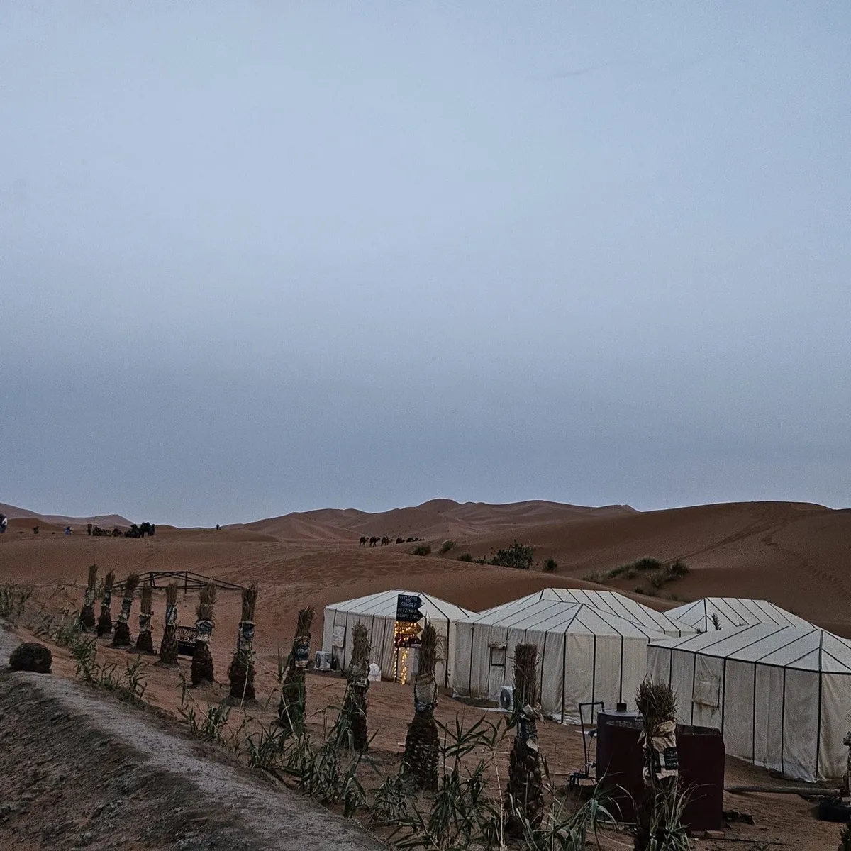 A tented camp in the dunes, with a camel caravan in the distance
