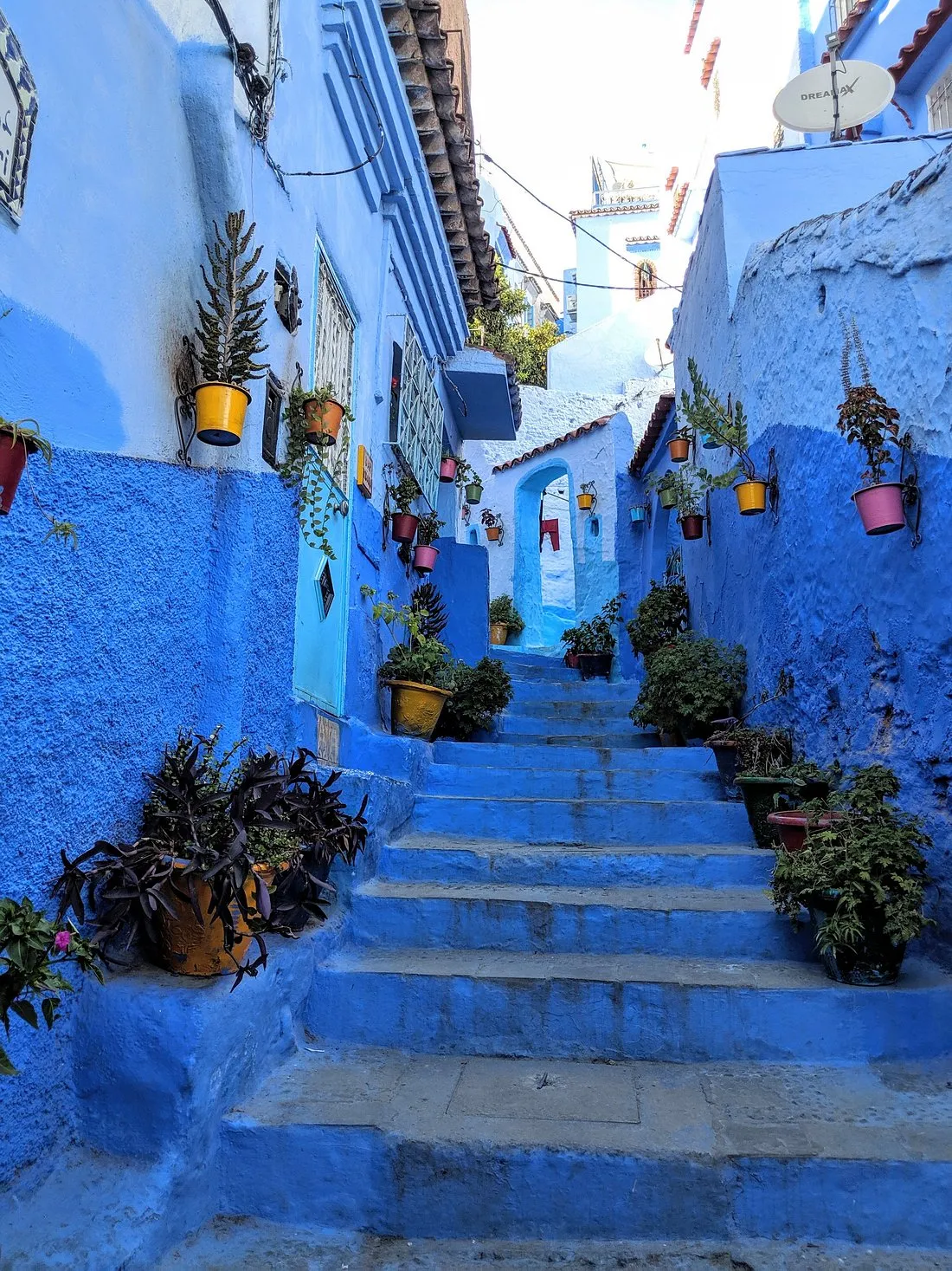 A stepped lane painted blue, lined with colourful potted plants