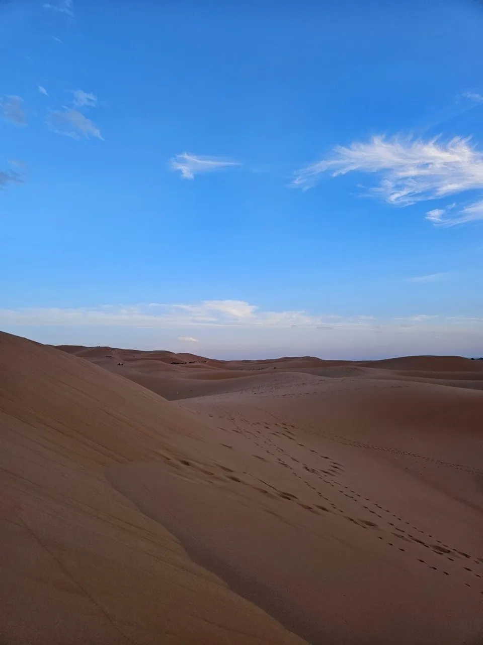 The Erg Chebbi dunes under a blue sky