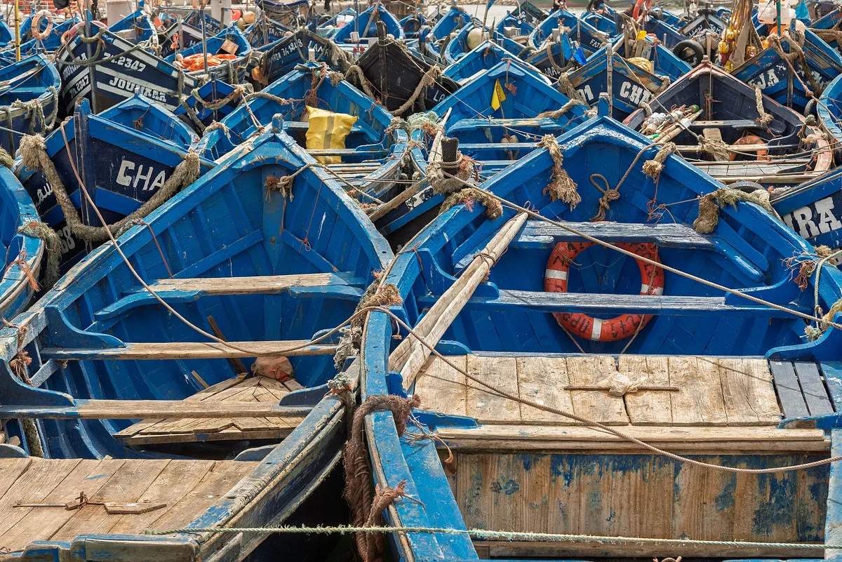 Blue fishing boats packed side by side in the port of Essaouira