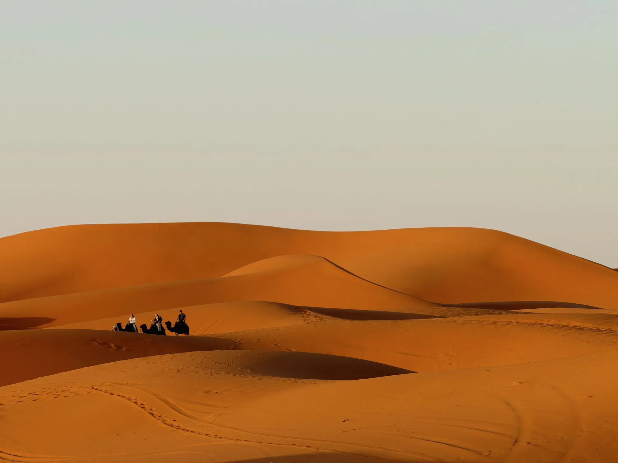 A small caravan of camels and riders crossing tall orange sand dunes under a pale sky