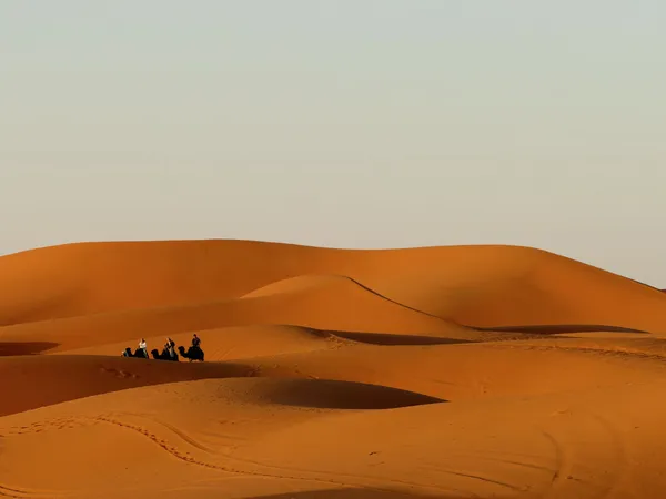 A small caravan of camels and riders crossing tall orange sand dunes under a pale sky